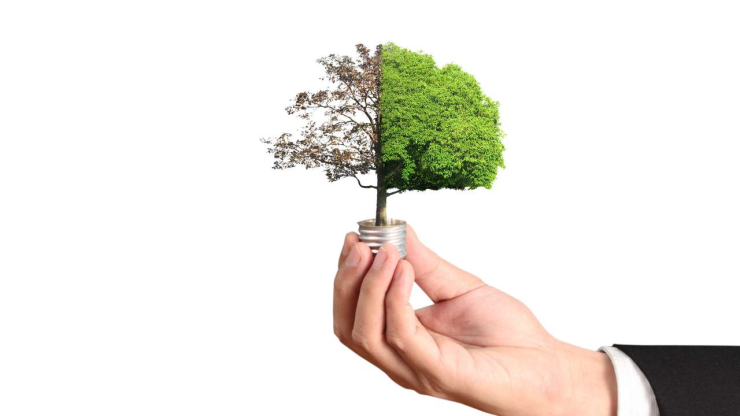 Cilvēks rokā tur spuldzīti ar koku ar zaļām lapām un sausiem zariem, simbolizējot priekšrocības un riskus naudas ieguldīšanai