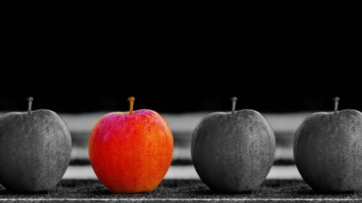 Сравнить и выбрать лучший кредит также важно как выбрать вкусное яблоко из всех – не допускайте ошибок