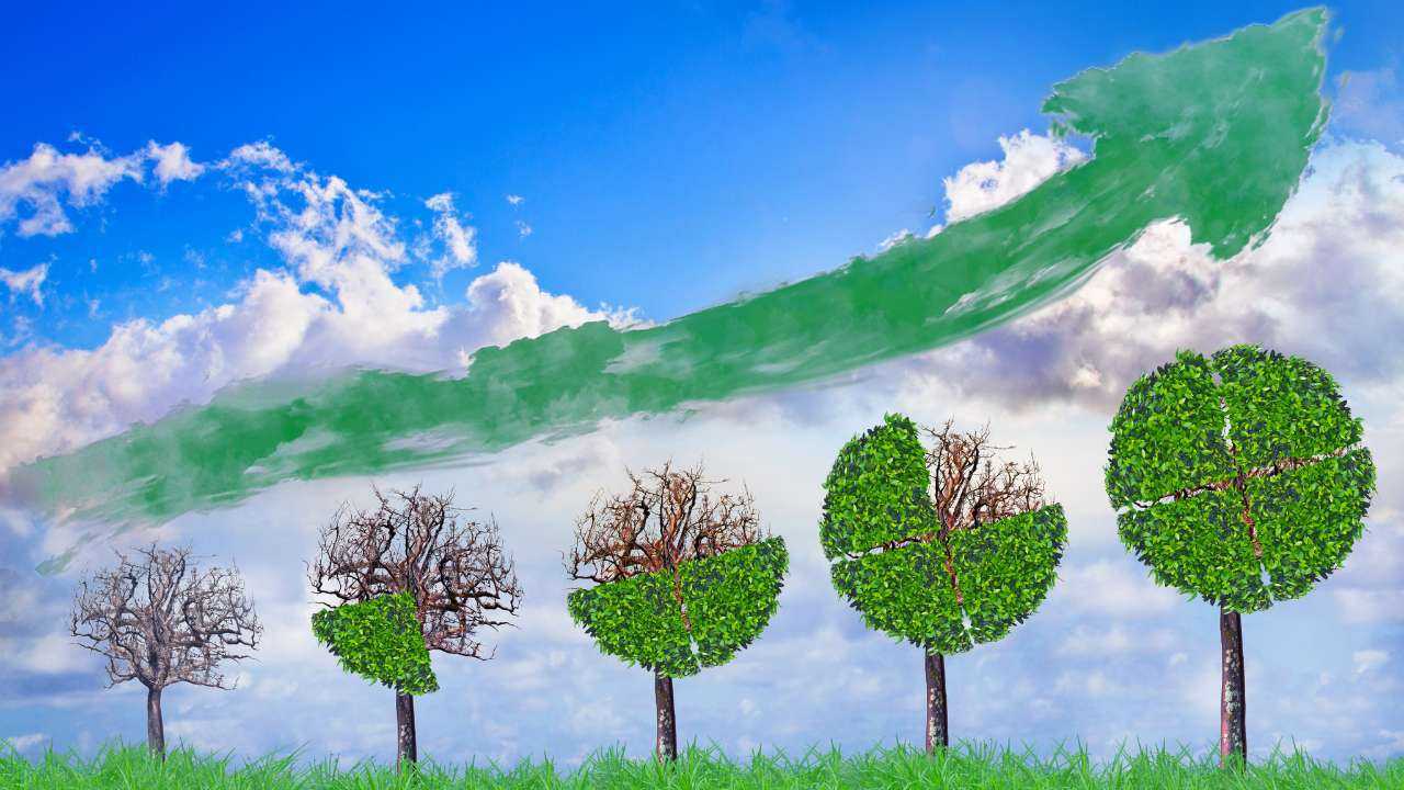 Пять деревьев с кроной в виде круглой диаграммы и зеленая стрела вверх – основные принципы инвестированию повышают доход