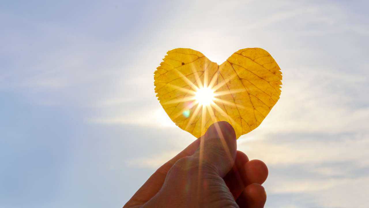 Cilvēks pirkstos tur rudens koka lapu sirds formā, caur kuru iespīd panākumu saule, kas sagaida daudzus 2023. gada septembrī