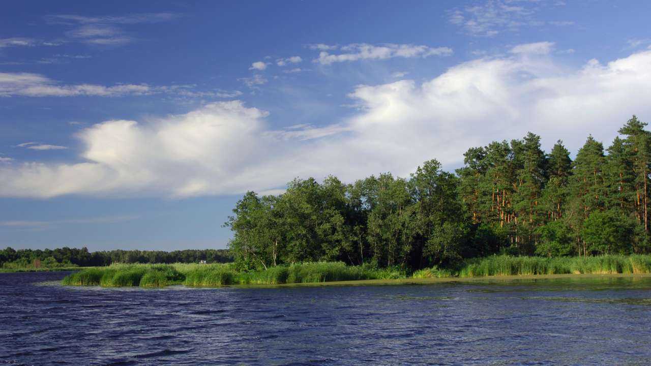 Красивая природа Латвии и озеро в летний денек – что нас ожидает в финансах в июле 2023 года