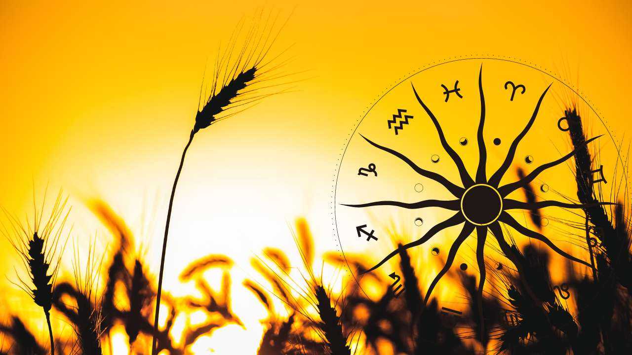 Поле зерновых на закате и астрологический круг со всеми знаками зодиака