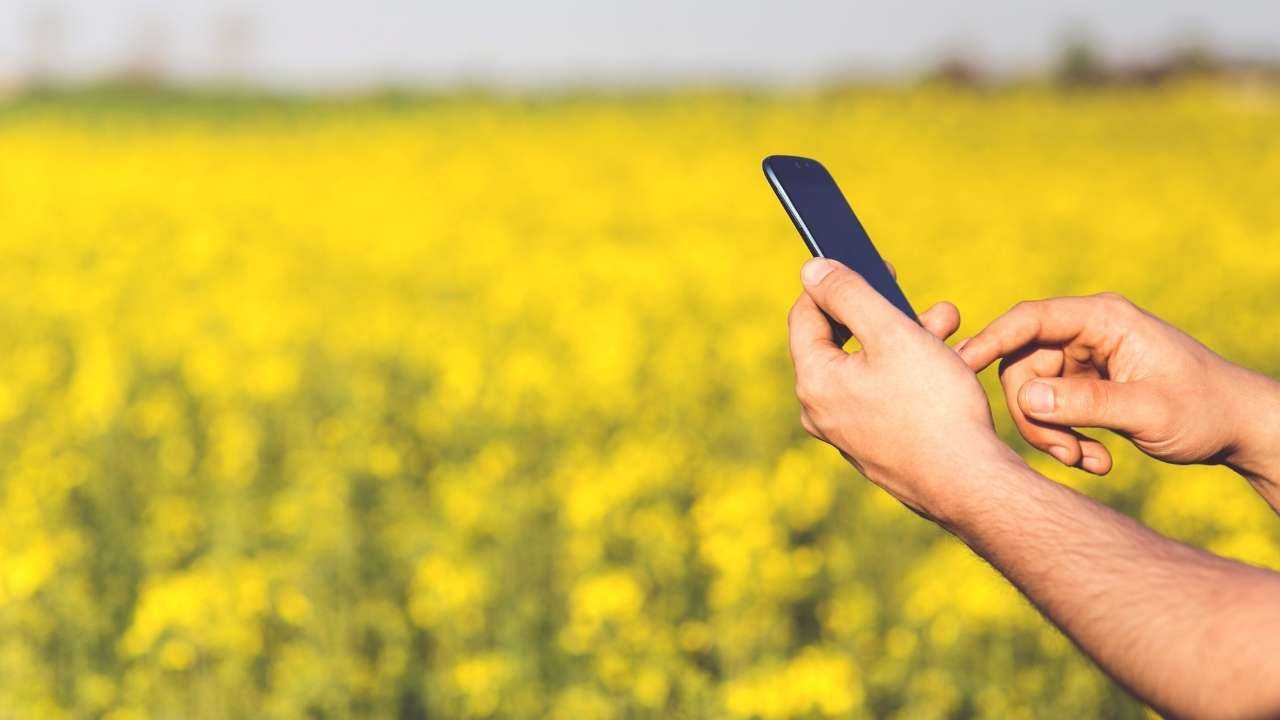 Краткосрочный кредит доступен из любой точки Латвии, поэтому мужчина на природе в поле через телефон заполняет заявку