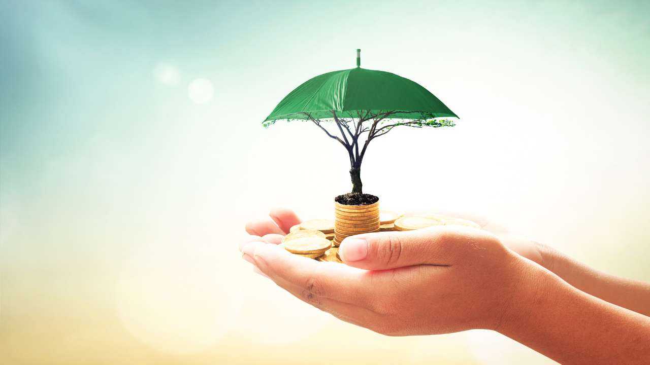 Plaukstās monētas, no kurām aug koks, apsegts ar zaļu lietussargu – ir svarīgi būt finansiāli atbildīgam