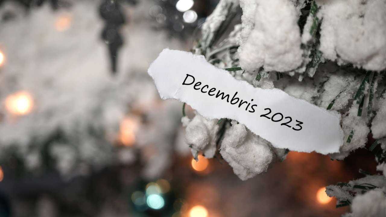 Apsnigusi eglīte, pie kuras zara ir piestiprināta baltā papīra lapiņa ar uzrakstu “Decembris 2023” naudas horoskopam