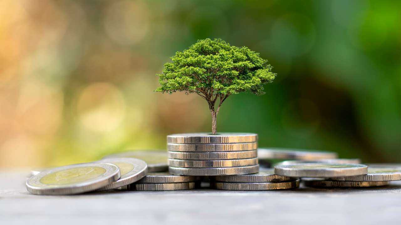 Небольшая кучка евро монет, с растущим из них деревом с пышной кроной, поскольку инвестиции увеличивают доход