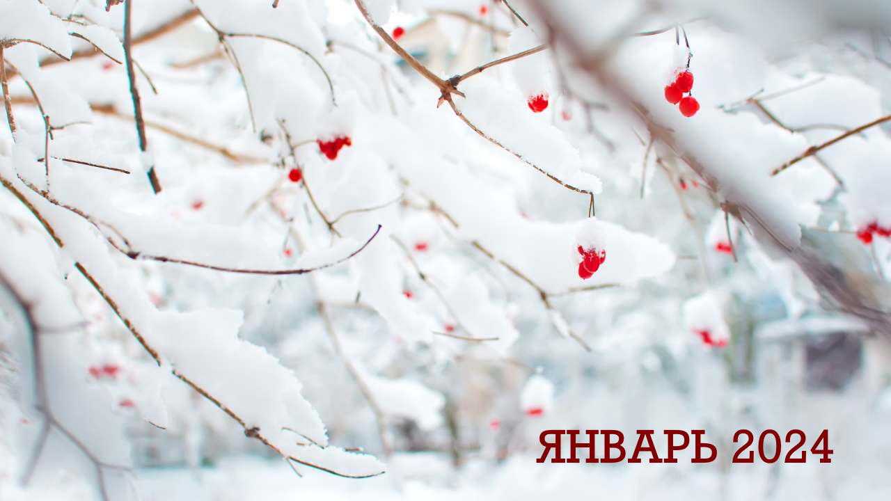 Зимний пейзаж со снежным деревом и красными ягодами, и надписью «январь 2024» для финансового гороскопа