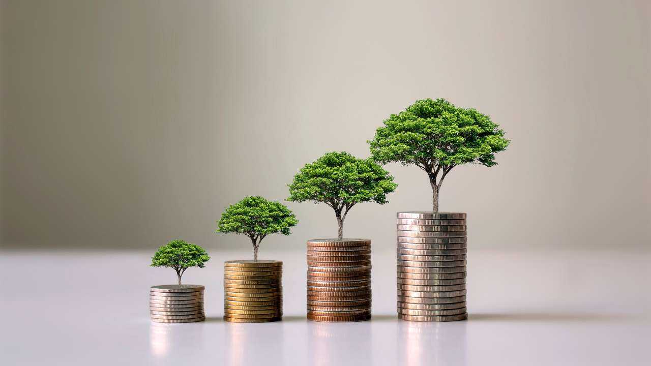 Монеты сложены в ряд от меньшей кучки к большей, откуда прорастают деревья – как начать инвестировать выгодно